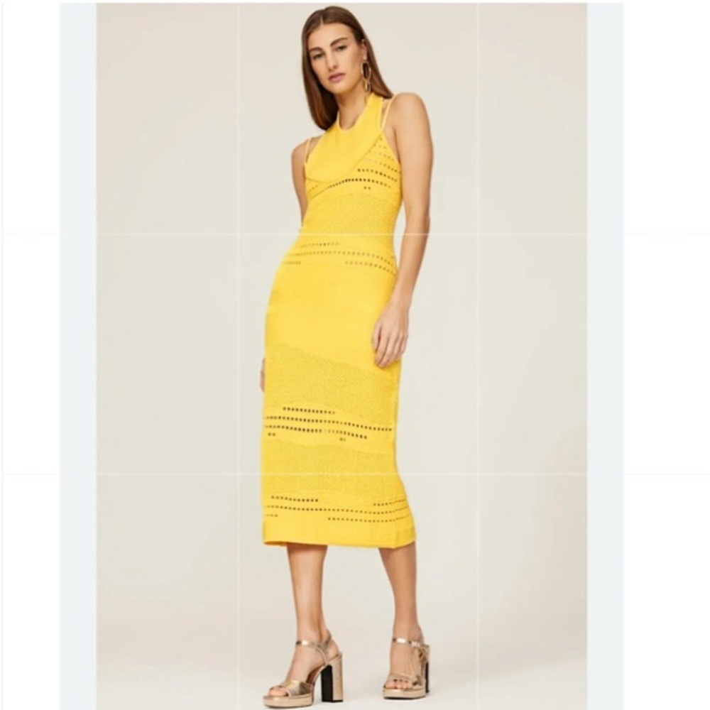 Esteban Cortazar Crochet Knit Midi Dress